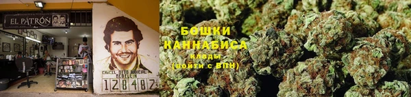 мяу мяу мука Баксан